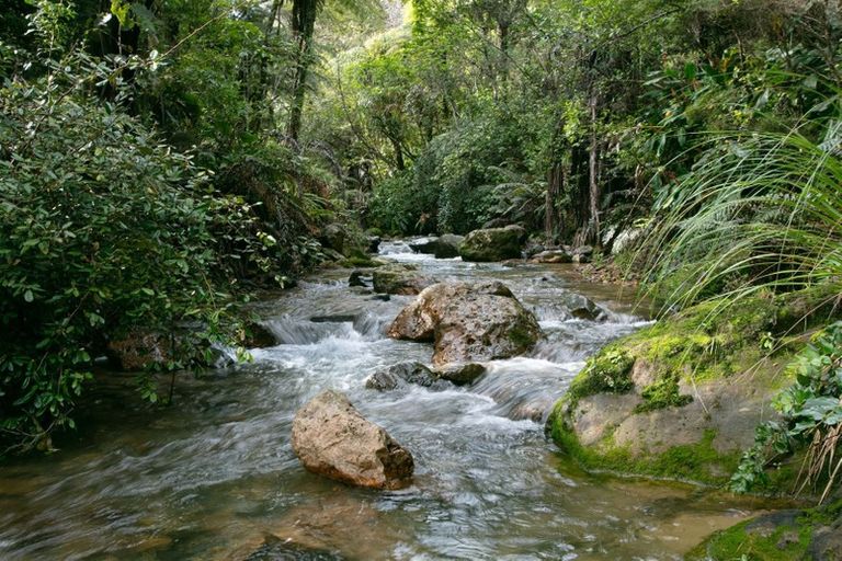 Photo of property in 761 Driving Creek Road, Coromandel, 3583