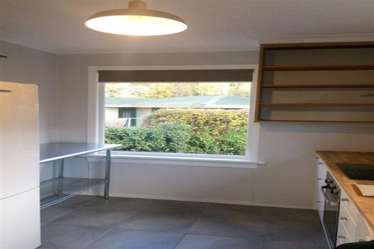 Photo of property in 118 Arthur Street, Dunedin Central, Dunedin, 9016