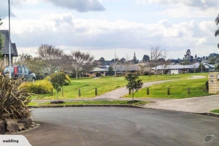 Photo of property in 17 Thomas Moore Place, Pukekohe, 2120