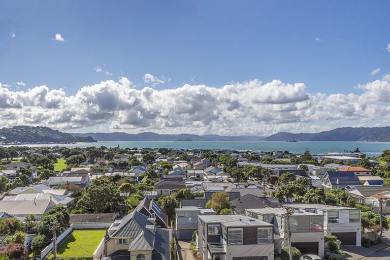 Photo of property in 49 Mantell Street, Seatoun, Wellington, 6022