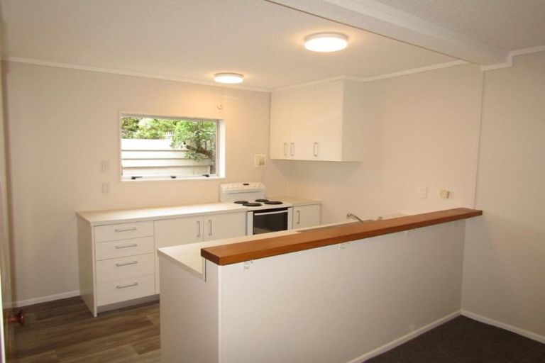 Photo of property in Parklane Mews, 326c The Terrace, Te Aro, Wellington, 6011