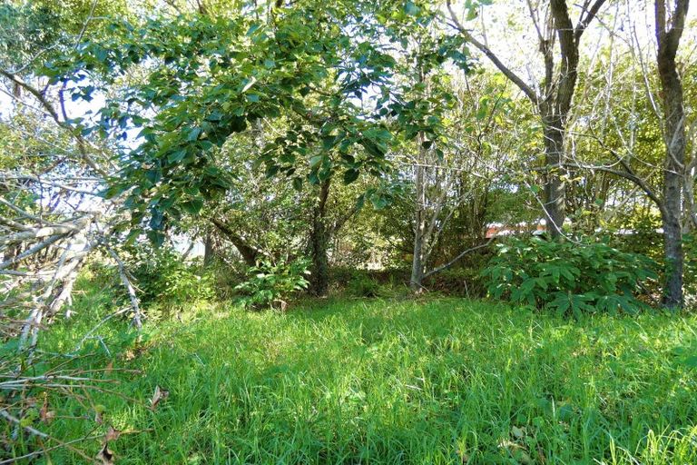 Photo of property in 43-44 Dole Street, Ngakawau, 7824