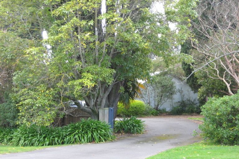 Photo of property in 67 Mchardy Street, Havelock North, 4130