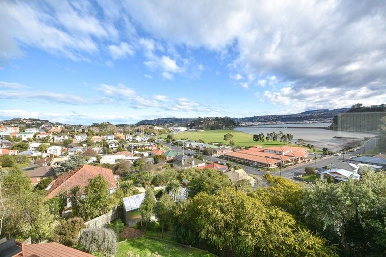 Photo of property in 36 Heath Street, Andersons Bay, Dunedin, 9013