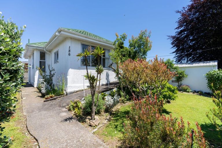 Photo of property in 186 Bath Street, Levin, 5510