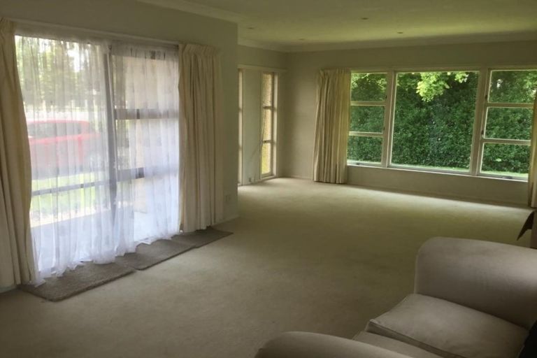 Photo of property in 67 Burwood Road, Matamata, 3400