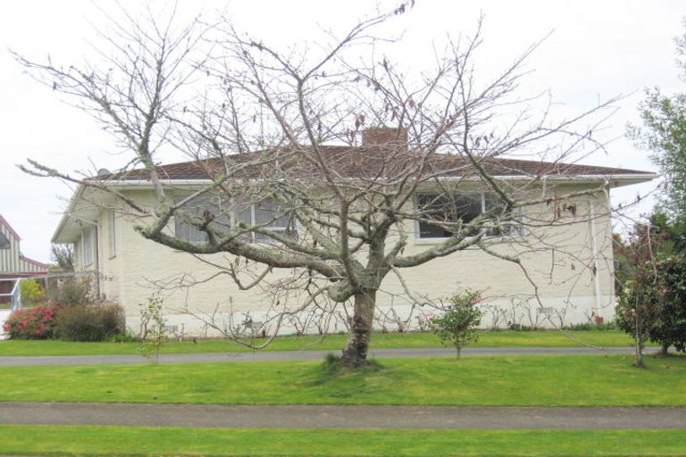 Photo of property in 205 Tiro Tiro Road, Levin, 5510