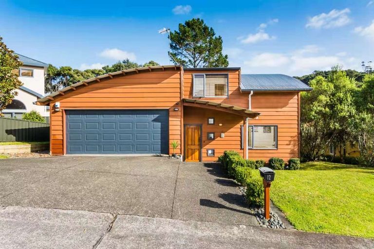 Photo of property in 12 Daldys Bush Lane, Bayview, Auckland, 0629