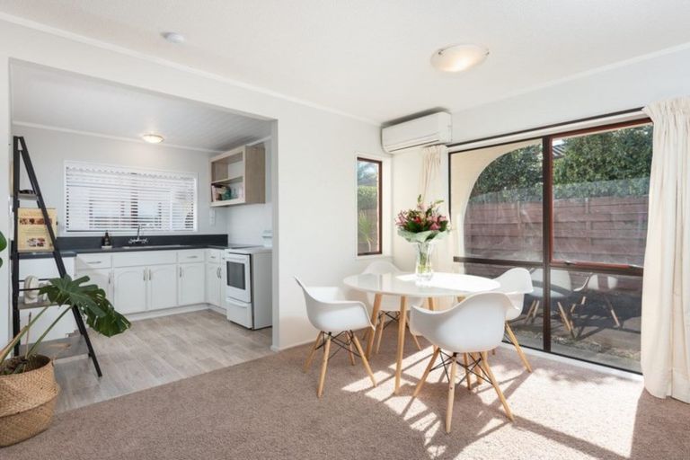 Photo of property in 54a Ascot Road, Mount Maunganui, 3116