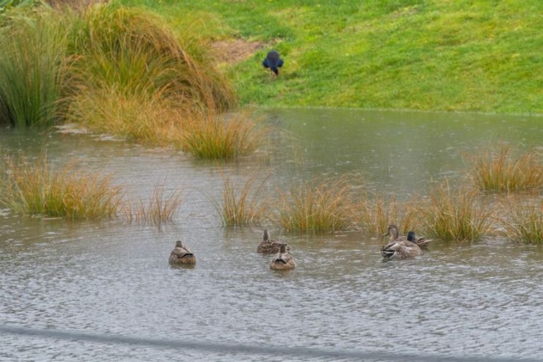 Photo of property in 15 Robert Duncan Road, Belfast, Christchurch, 8051