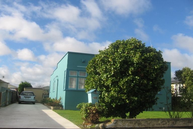 Photo of property in 103 Shamrock Street, Takaro, Palmerston North, 4412