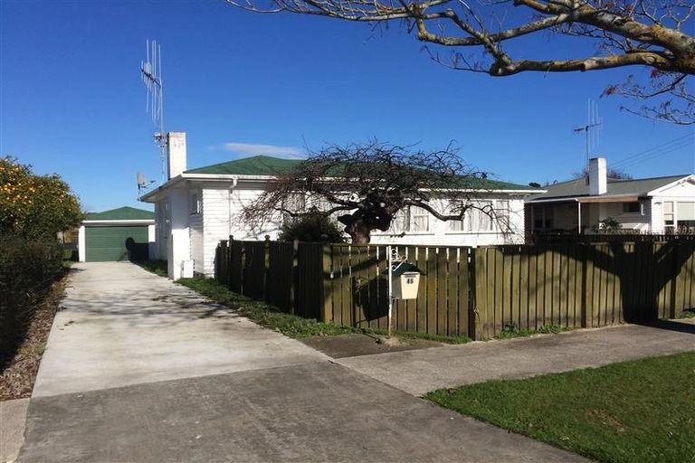 Photo of property in 45 Graham Street, Levin, 5510