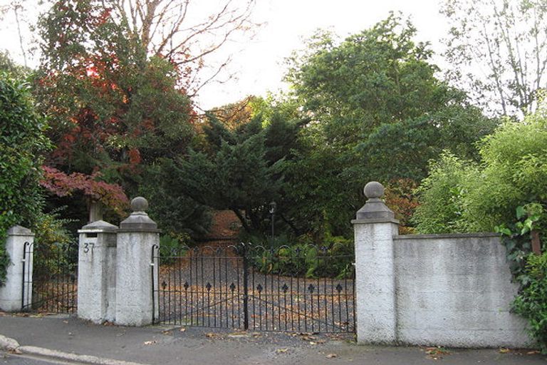 Photo of property in 37 Melrose Street, Roslyn, Dunedin, 9010