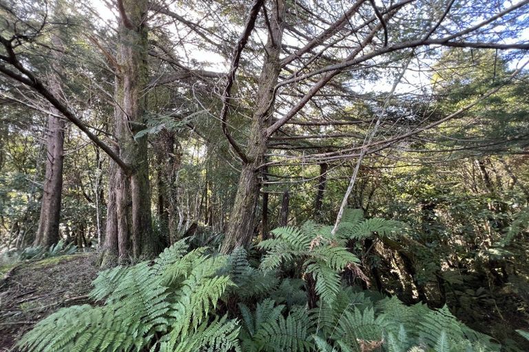 Photo of property in 137 Clifton Road, Kaiata, Greymouth, 7805