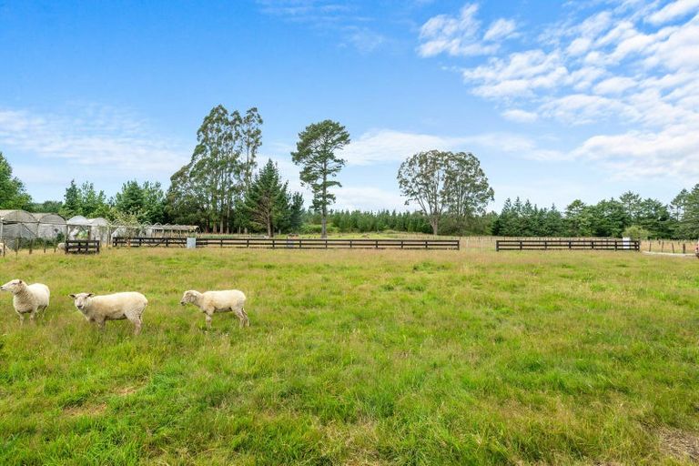 Photo of property in 36 Dumfries Road, Tokoroa, 3420