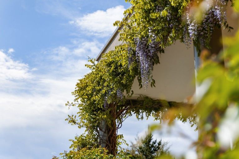 Photo of property in 2 Fairway Drive, Bridge Hill, Alexandra, 9320