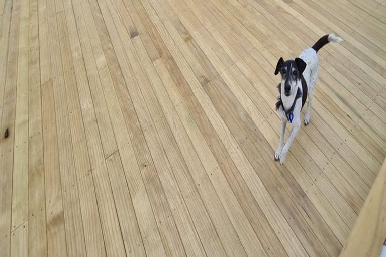 Photo of property in 2/100 Manuka Road, Bayview, Auckland, 0629