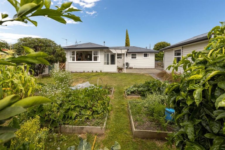 Photo of property in 95 Howick Road, Redwoodtown, Blenheim, 7201