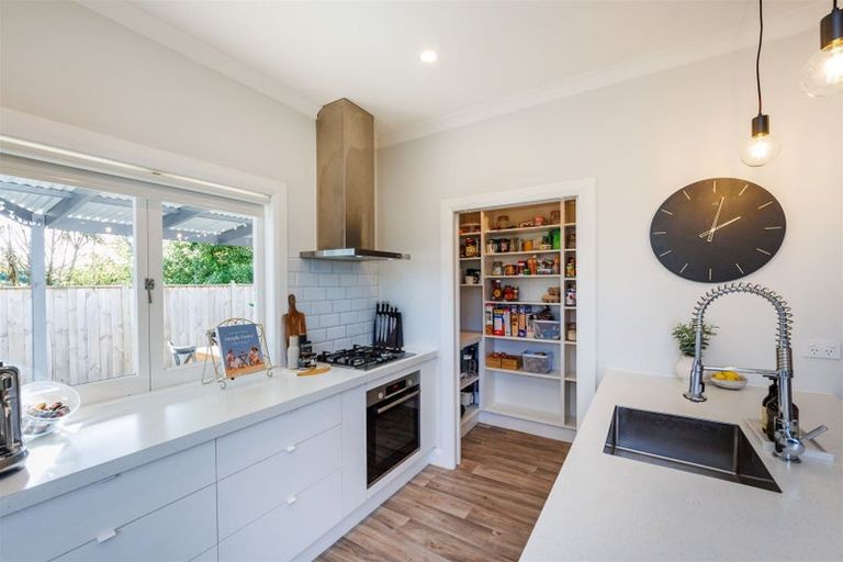 Photo of property in 101 Limbrick Street, Terrace End, Palmerston North, 4410