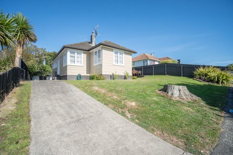 Photo of property in 48 Upham Terrace, Roslyn, Palmerston North, 4414