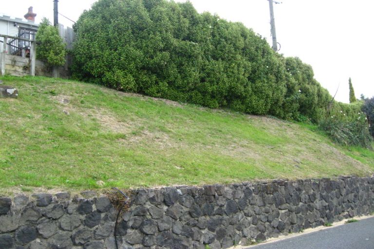 Photo of property in 20 Sidey Street, Calton Hill, Dunedin, 9012