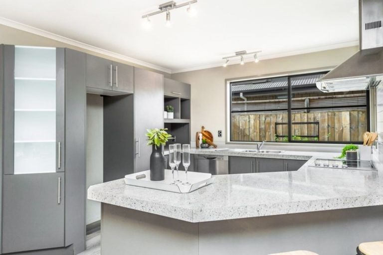 Photo of property in 54c Willoughby Street, Whitiora, Hamilton, 3200