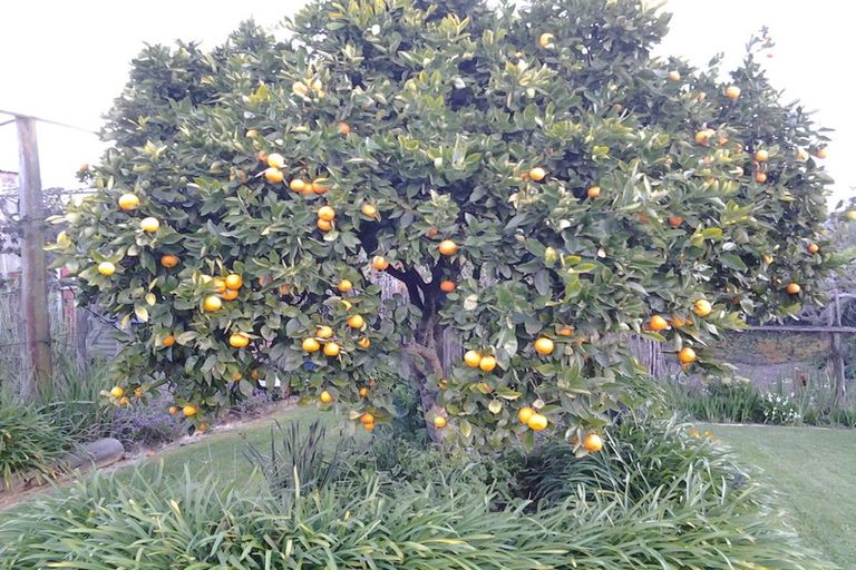 Photo of property in 27a Fearon Street, Motueka, 7120