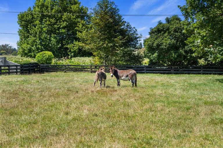 Photo of property in 1713 Gordonton Road, Taupiri, 3791