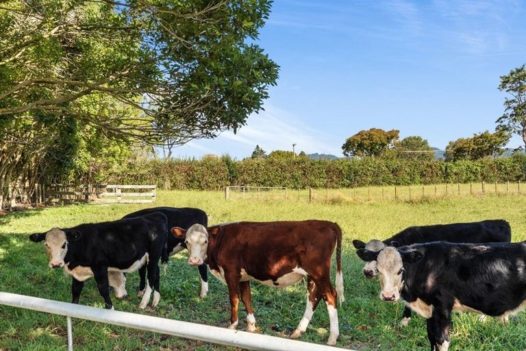 Photo of property in 653 Te Kowhai Road, Te Kowhai, Hamilton, 3288