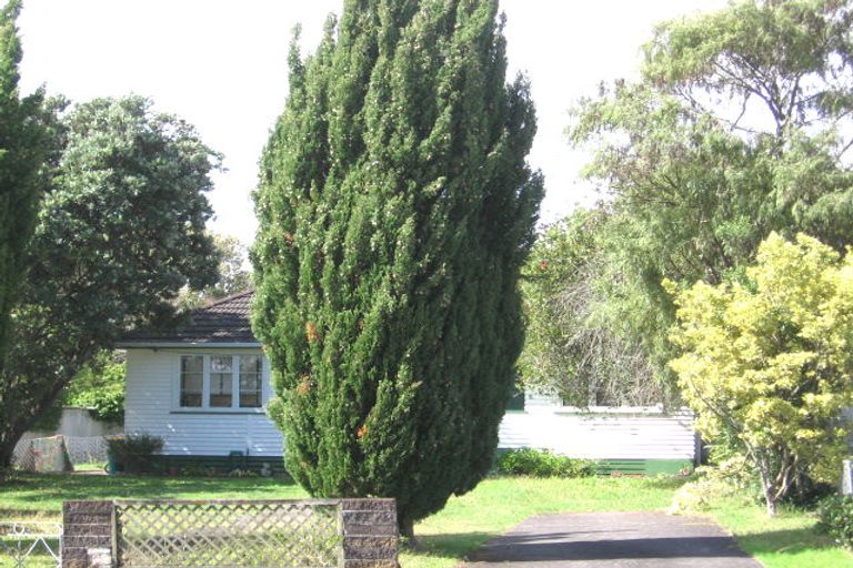 Photo of property in 34 Fairdene Avenue, Henderson, Auckland, 0610