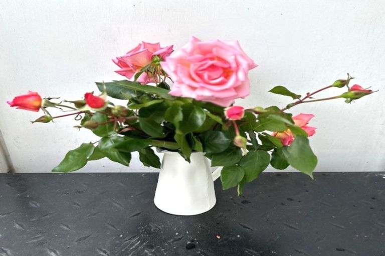 Photo of property in 4/58 School Road, Paihia, 0200