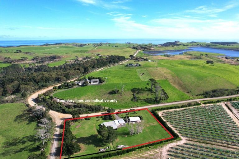 Photo of property in 259 Redhill Cemetery Road, Te Kopuru, Dargaville, 0371