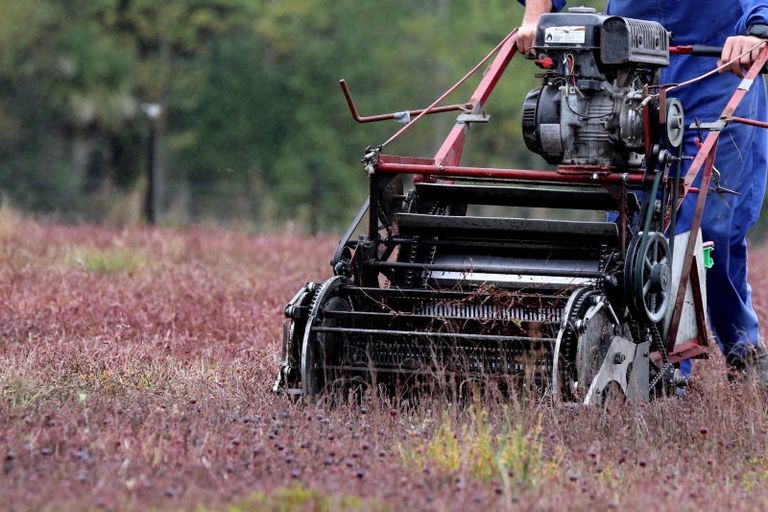 Photo of property in 1218 Old Christchurch Road, Awatuna, Hokitika, 7882