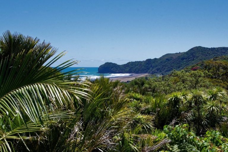 Photo of property in 17 Rayner Road, Piha, New Lynn, 0772