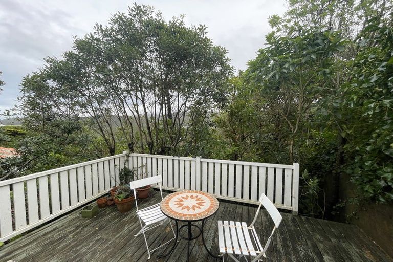 Photo of property in 138 The Ridgeway, Mornington, Wellington, 6021