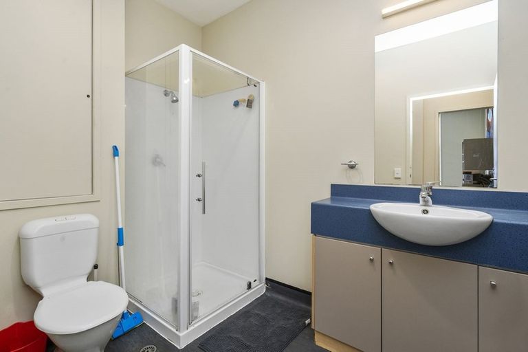 Photo of property in Hanson House, 1a/27 Hanson Street, Mount Cook, Wellington, 6021