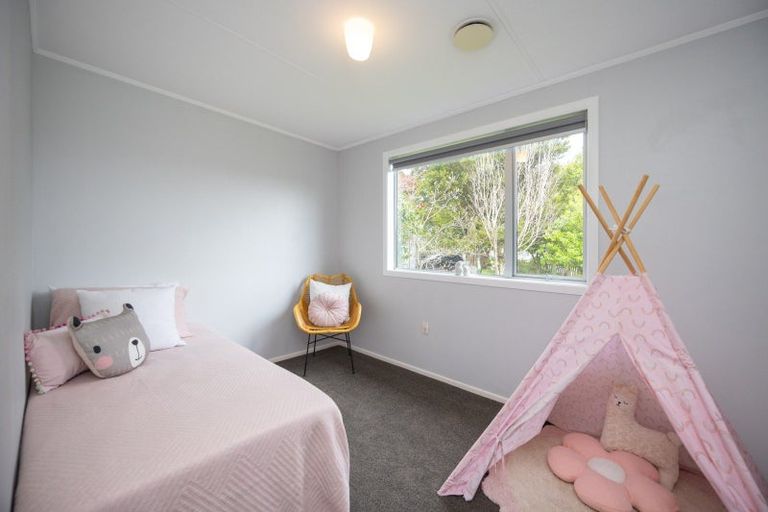 Photo of property in 147 Stanford Street North, Ashhurst, 4810