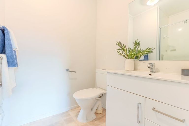 Photo of property in 17 Macfarlane Street, Hamilton East, Hamilton, 3216