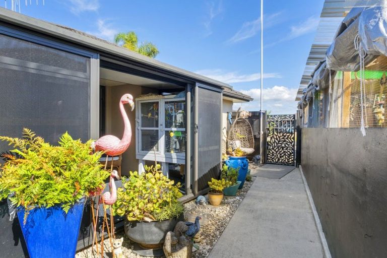 Photo of property in 6 Carrington Drive, Papamoa Beach, Papamoa, 3118