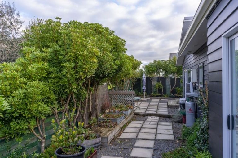 Photo of property in 78 Regent Street, Martinborough, 5711