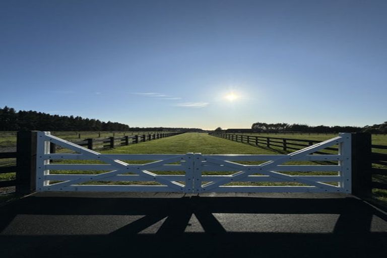 Photo of property in 13 Beal Place, Swannanoa, 7692