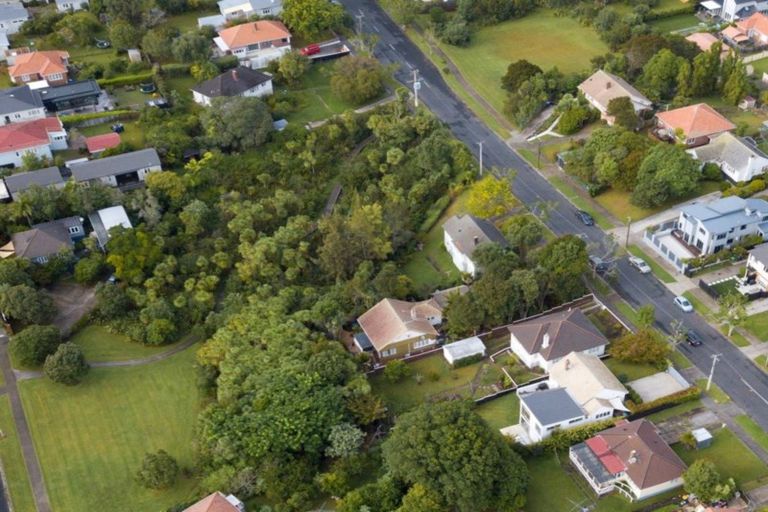 Photo of property in 75 Walmer Road, Point Chevalier, Auckland, 1022