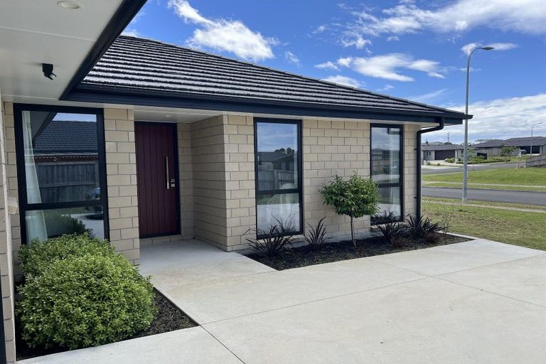 Photo of property in 40 Murray Ward Drive, Te Kauwhata, 3710