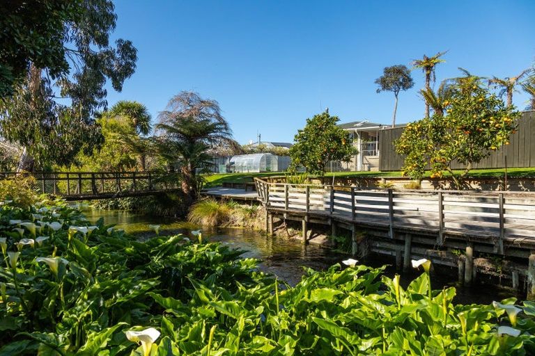 Photo of property in 71 Nelson Street, Springlands, Blenheim, 7201