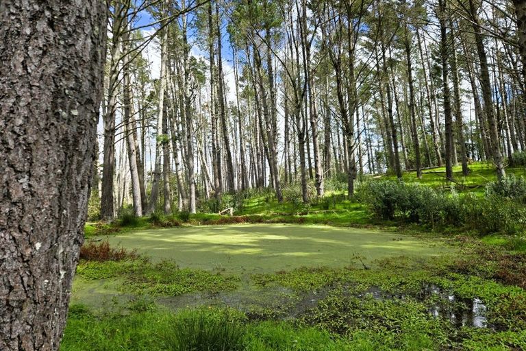 Photo of property in 42 Ford Road, Paparoa, Maungaturoto, 0583