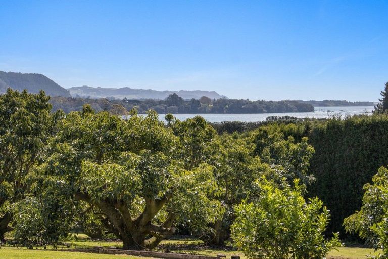 Photo of property in 210 Tuapiro Road, Tahawai, Katikati, 3170
