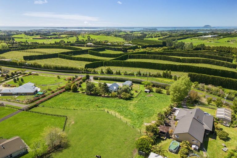 Photo of property in 233 Ross Road, Whakamarama, Tauranga, 3179