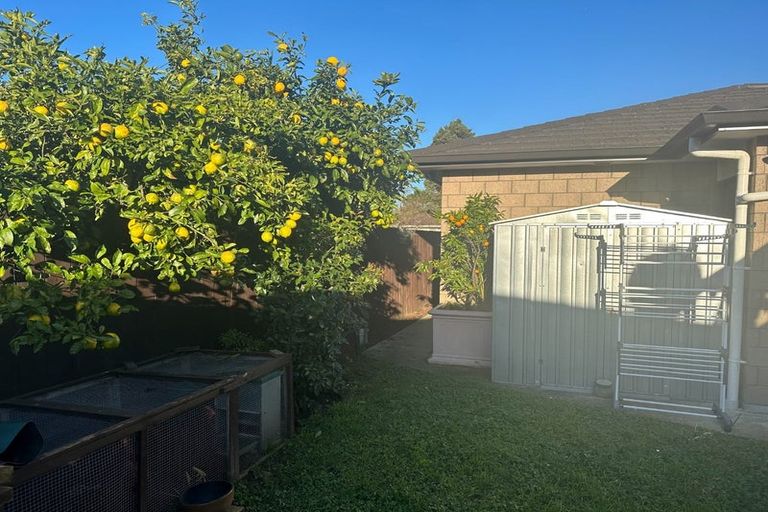 Photo of property in 9 Holland Street, Pukekohe, 2120