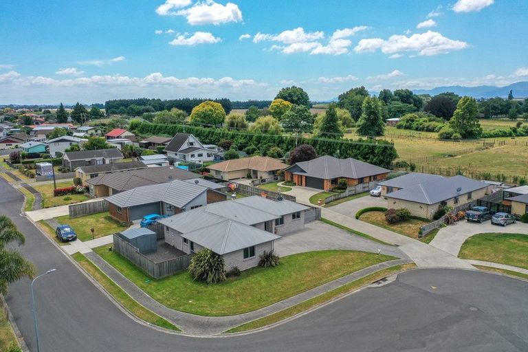Photo of property in 32 Nikau Place, Matamata, 3400