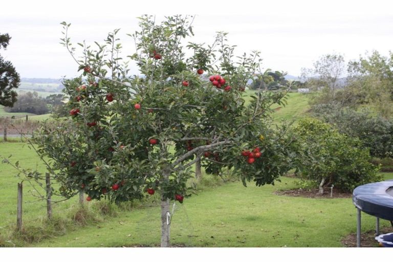 Photo of property in 213 Attwood Road, Ruatangata West, Whangarei, 0176